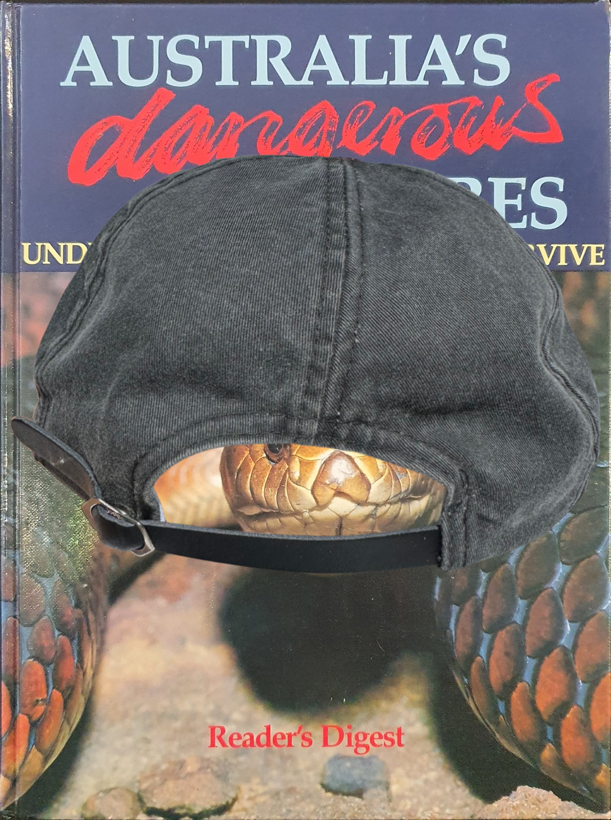 "Red-bellied Black Snake" Unstructured Hat