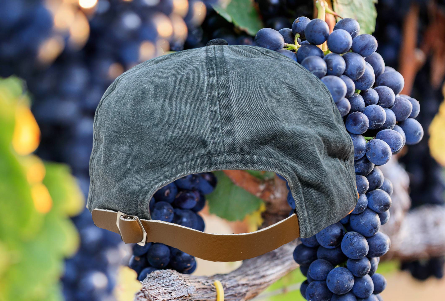 "Bushies Grange" Unstructured Hat