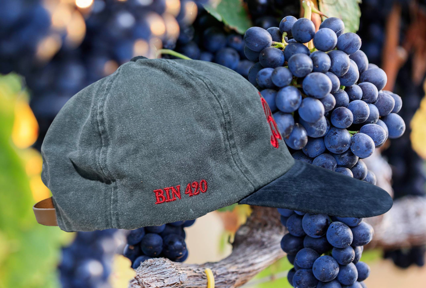 "Bushies Grange" Unstructured Hat