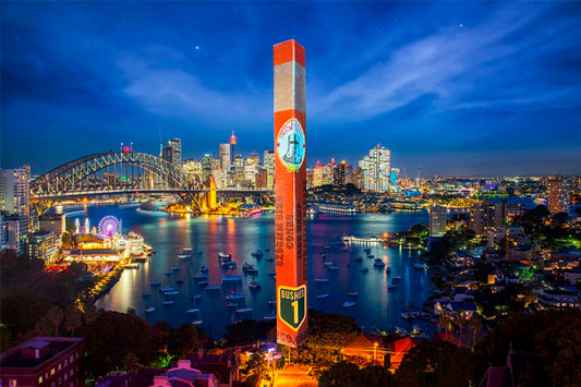 98mm Bushies Pre-rolled "Cones" Packet