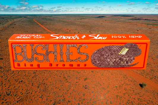 King Size Bushies "King Browns"